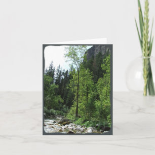 Carte de sympathie paisible de forêt