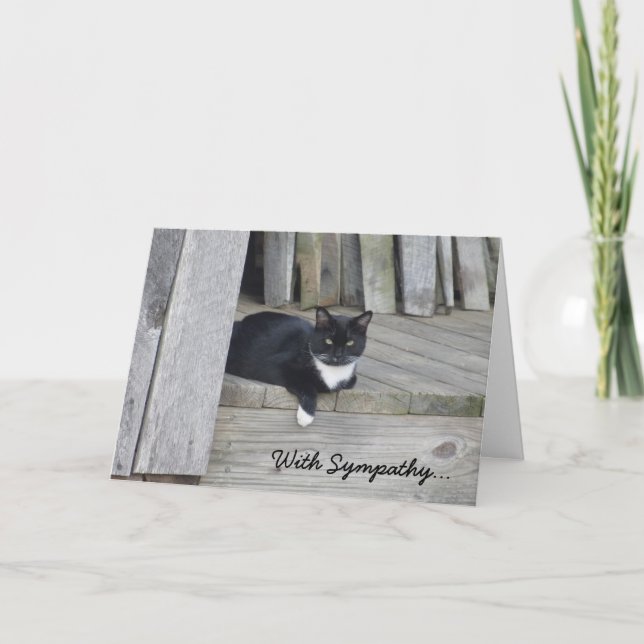 Carte de sympathie — Perte de chat (Devant)