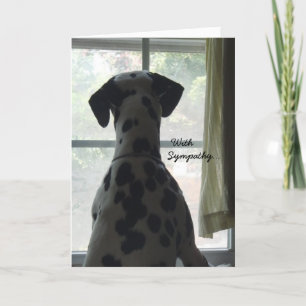 Carte de sympathie — Perte de chien
