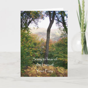 Carte de sympathie, Perte de ponie