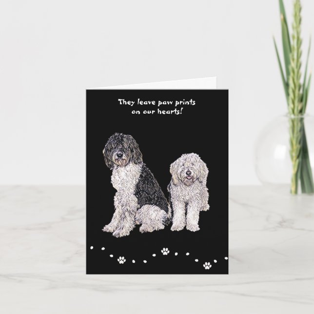 Carte de Sympathie pour animal de compagnie Doodle (Devant)
