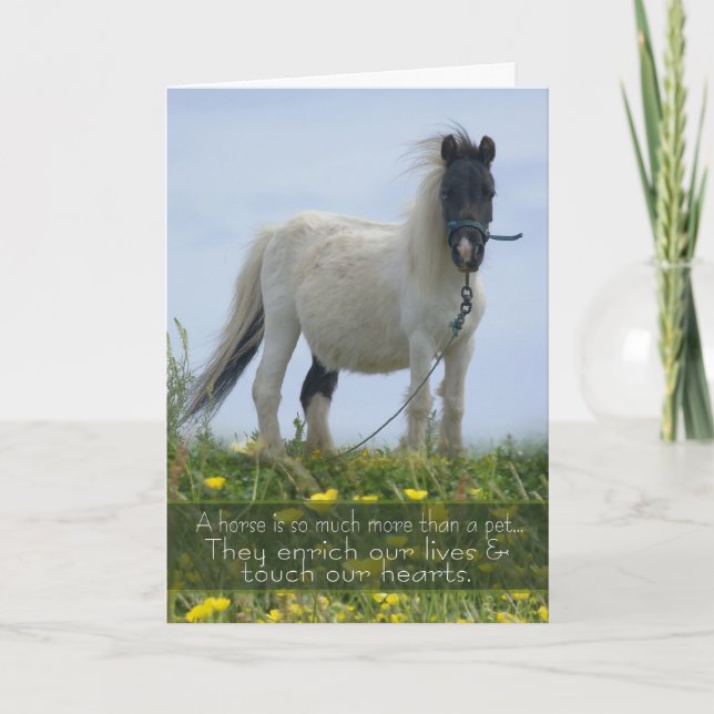 Carte de sympathie pour animal de compagnie - Symp (Devant)