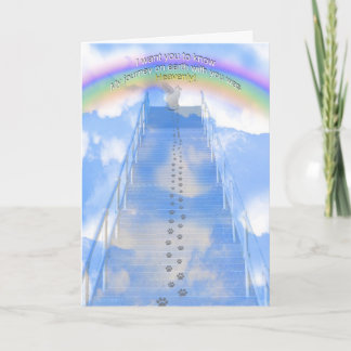 Carte de sympathie pour chat masculin - Escalier v