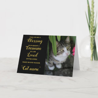 Carte de sympathie pour chat personnalisée avec ph