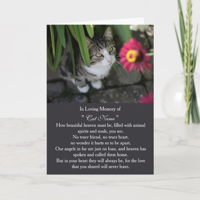 Carte de sympathie pour chat photo personnalisée M (Devant)