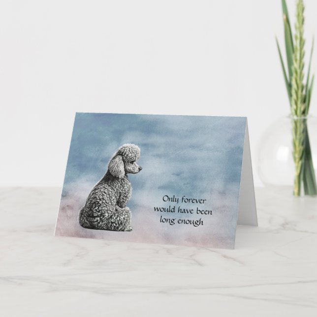 Carte de sympathie pour chien de caniche gris (Devant)