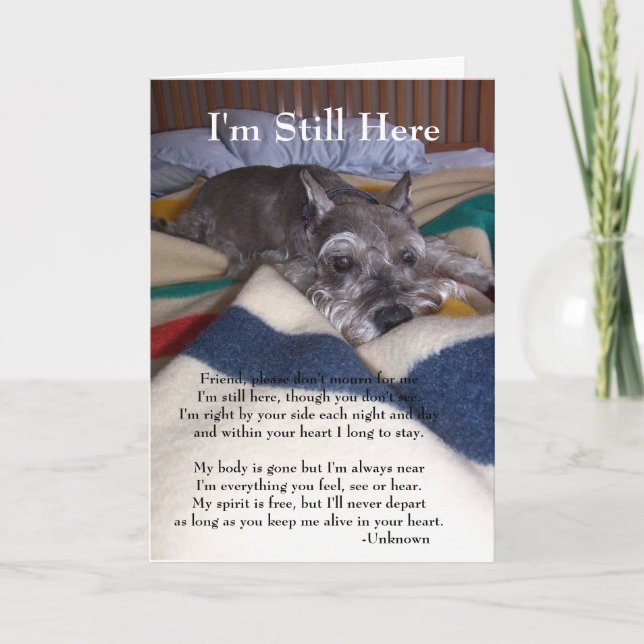 Carte de sympathie pour la perte d'animal familier (Devant)