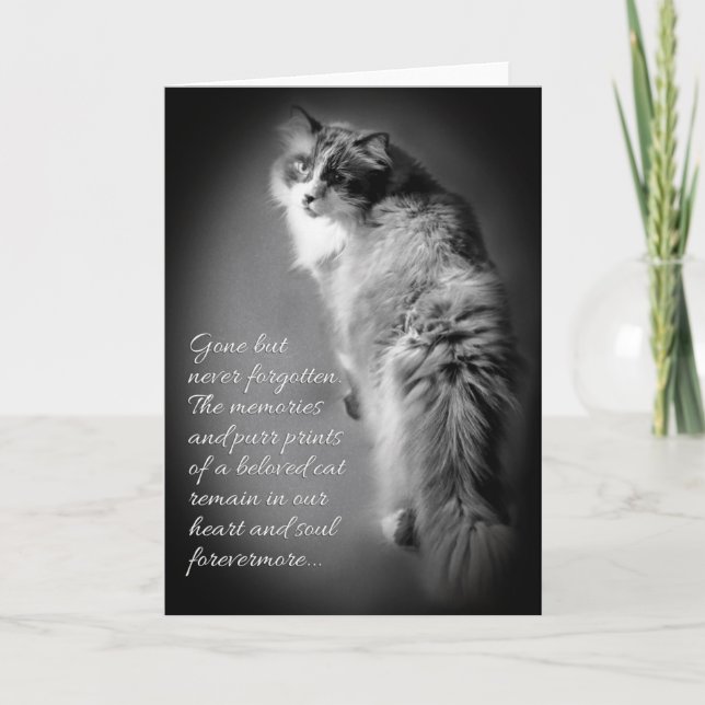 Carte de sympathie pour la perte de chat (Devant)