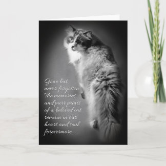 Carte de sympathie pour la perte de chat