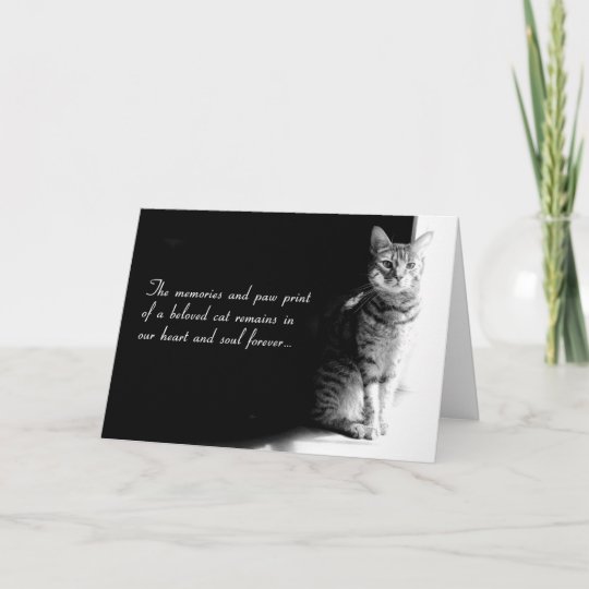 Carte De Sympathie Pour La Perte D Un Chat Aime Zazzle Ca