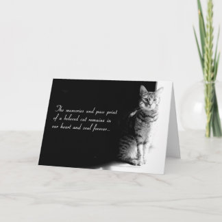 Carte de sympathie pour la perte d'un chaton famil