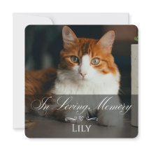 Carte de sympathie pour perte de chat avec photo e