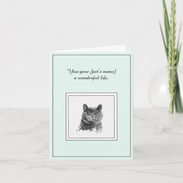 Carte de sympathie pour un chat à courte portée br (Devant)