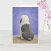 Carte de sympathie pour vieux chien de berger angl