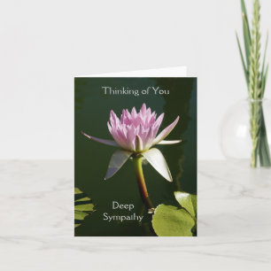 Carte de sympathie rose de nénuphar