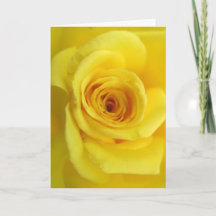 Carte de Sympathie Rose jaune