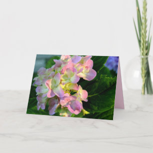 Carte de Sympathie Sunlit Pink Hydrangea