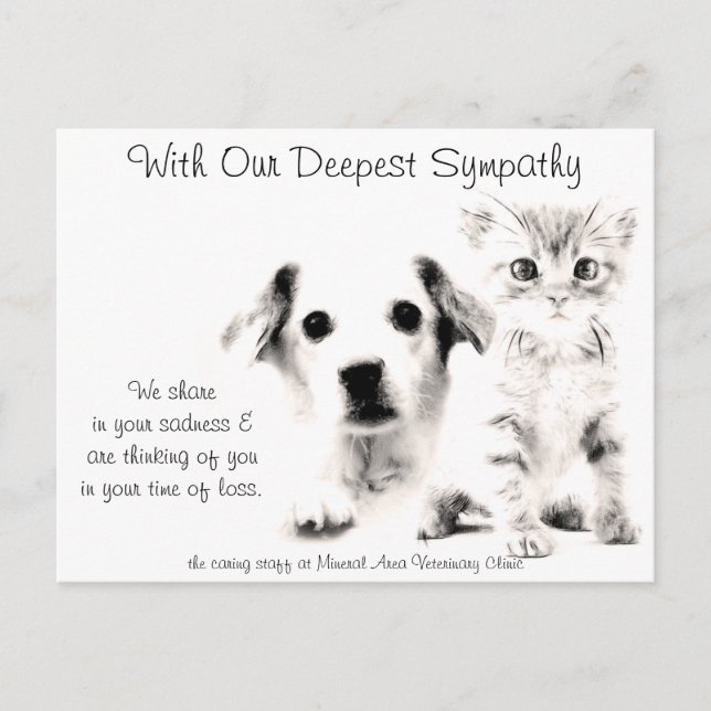 Carte de sympathie vétérinaire chiot et chaton (Devant)