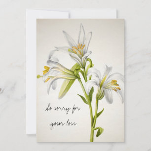 Carte de Sympathie vintage Fleurs Lys Blanches