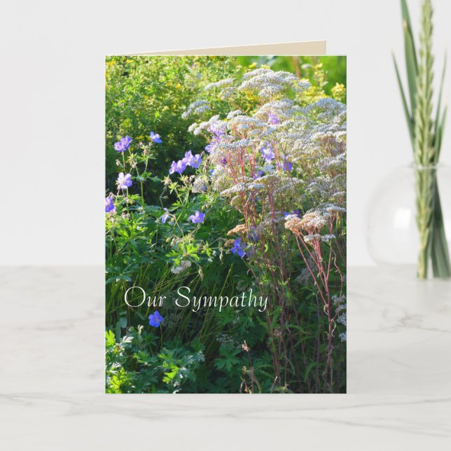 Carte de Sympathie Wild Flower Field (Devant)