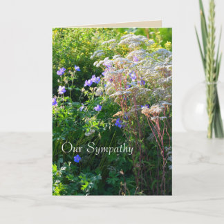 Carte de Sympathie Wild Flower Field