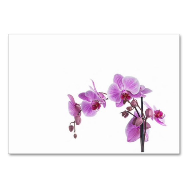 Carte de table (Devant)