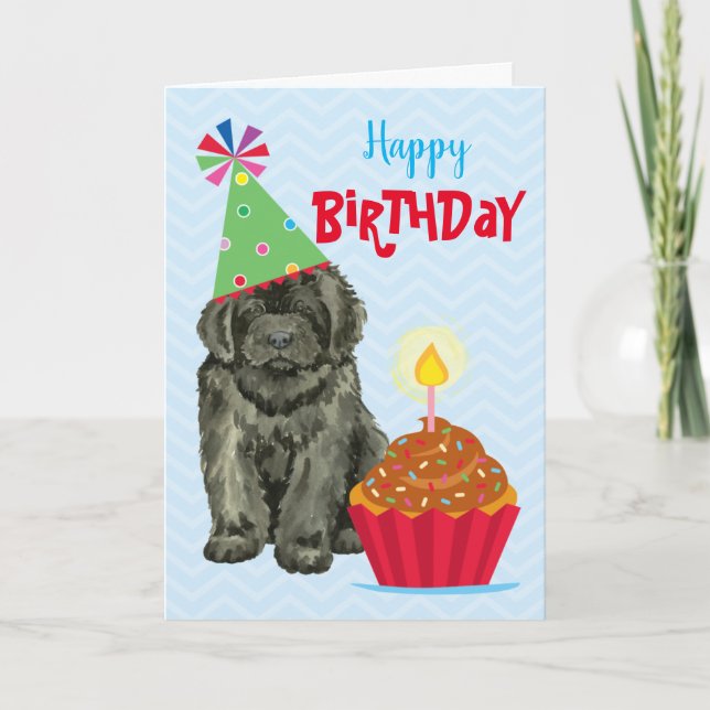 Carte de Terre-Neuve Cupcake (Devant)