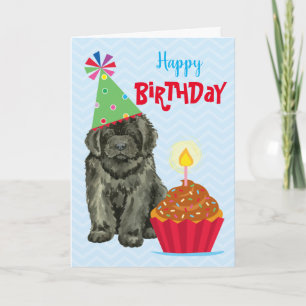 Carte de Terre-Neuve Cupcake
