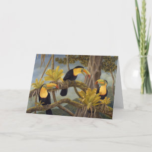 Carte de toucan