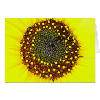 Carte de tournesol