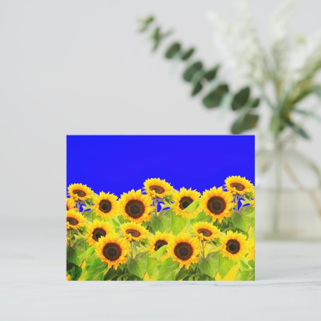 Carte de tournesol couleurs drapeau ukrainien - Li (Debout devant)