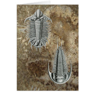 Carte de Trilobites