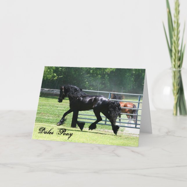 Carte de trot de poney de vallées (Devant)