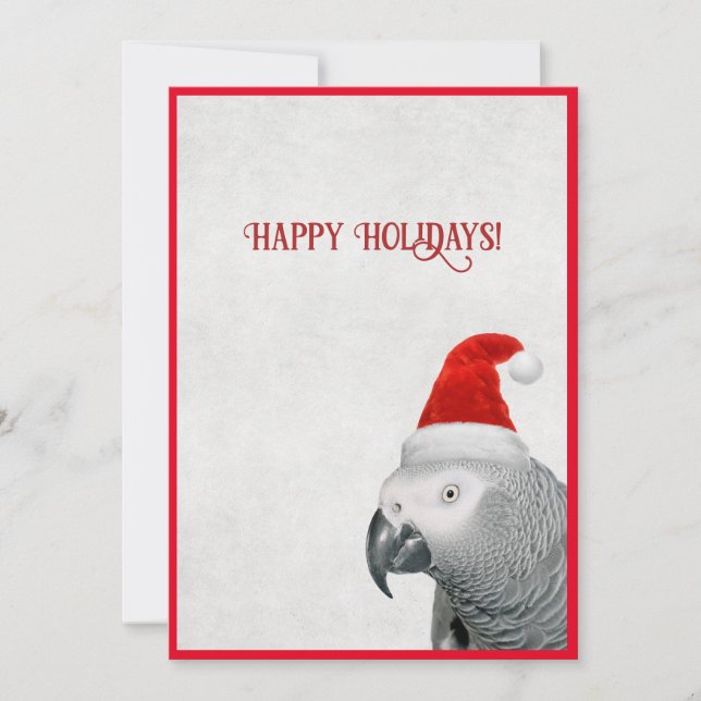 Carte de vacances africaine Gris Parrot plat (Devant)