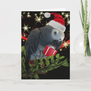 Carte de vacances African Grey Parrot