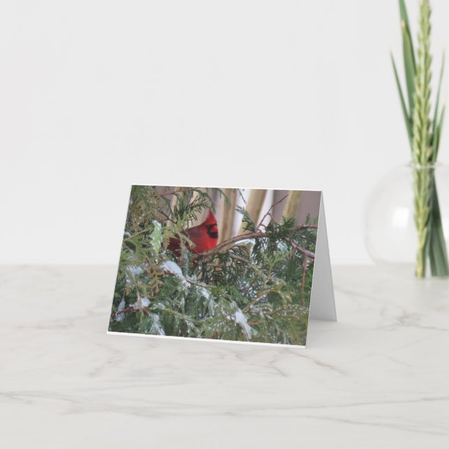 Carte de vacances avec Cardinal (Devant)