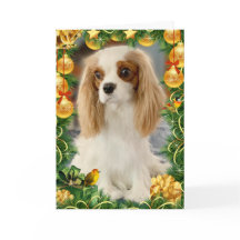 Carte de vacances Blenheim Cavalier Spaniel
