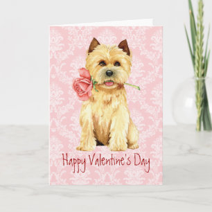 Carte de vacances Cairn Terrier Rose Valentine