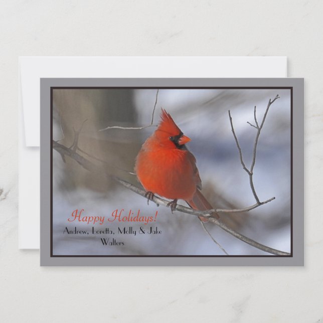 Carte de vacances Cardinal Rouge (Devant)