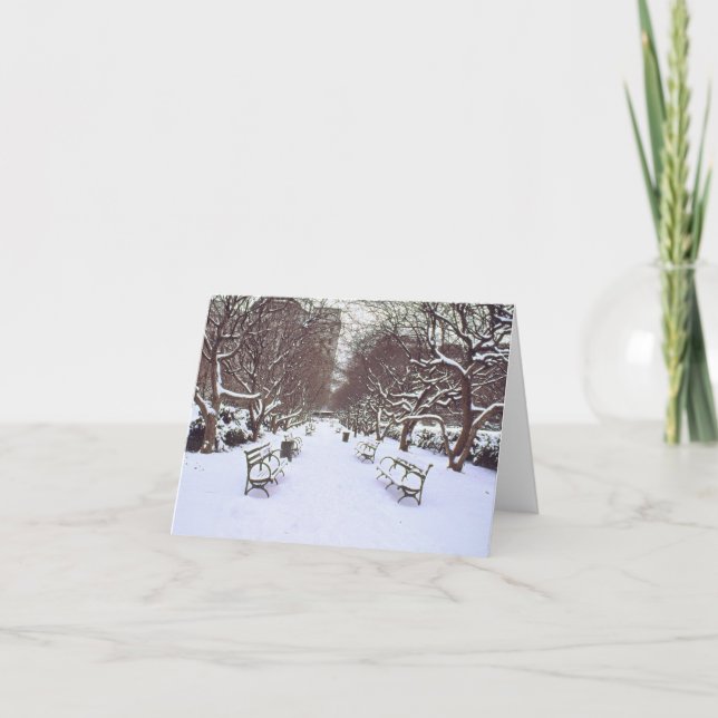 Carte de vacances "Central Park in Winter" - Vide (Devant)
