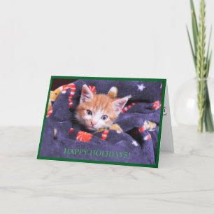 Carte de vacances Chat Châle Gris Chaton Orange