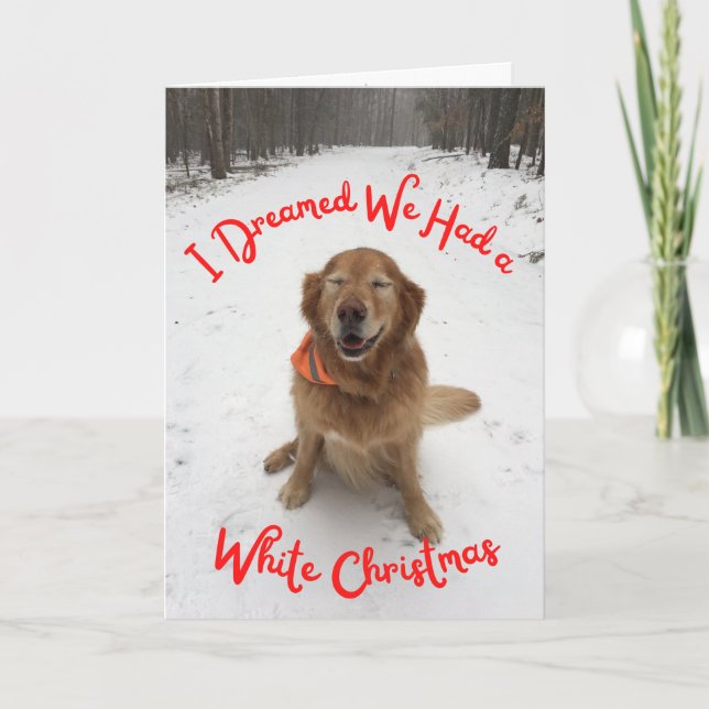 Carte de vacances Chien rêvant de Noël blanc (Devant)