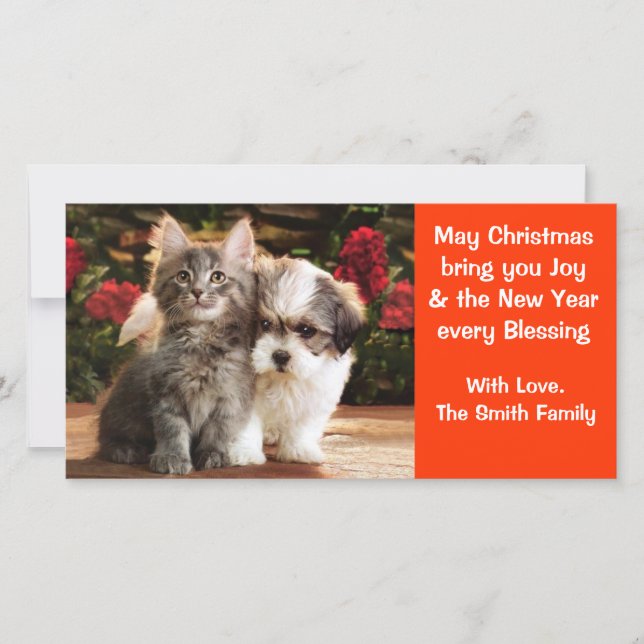 Carte de vacances Chiot & Kitten (Devant)