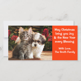 Carte de vacances Chiot & Kitten