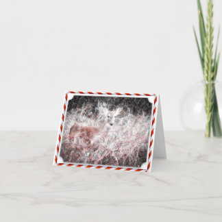 Carte de vacances de cerfs communs de Noël de