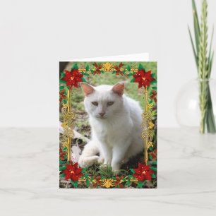Carte de vacances de chat de rêve de Noël blanc