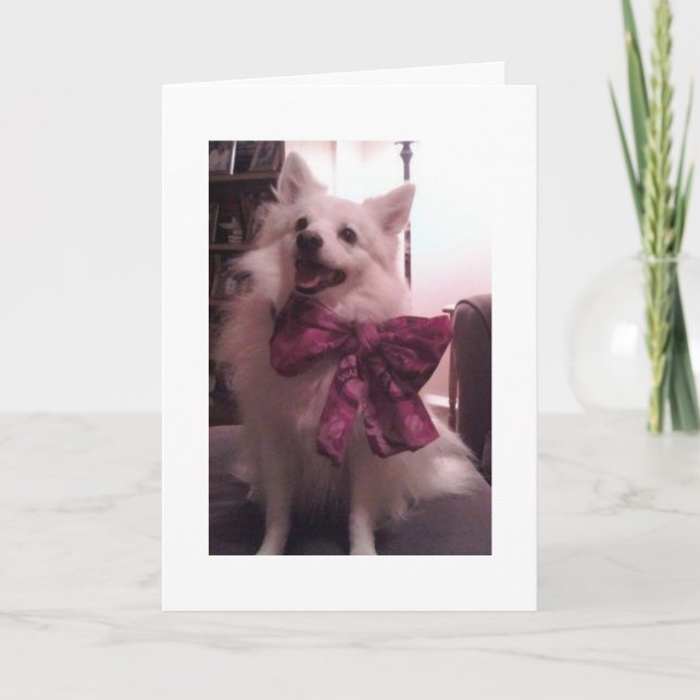 Carte de vacances d'ERU (Devant)