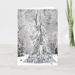 Carte de vacances d'hiver : jardin public de Bosto