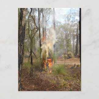 Carte de vacances Flamant Grasstree