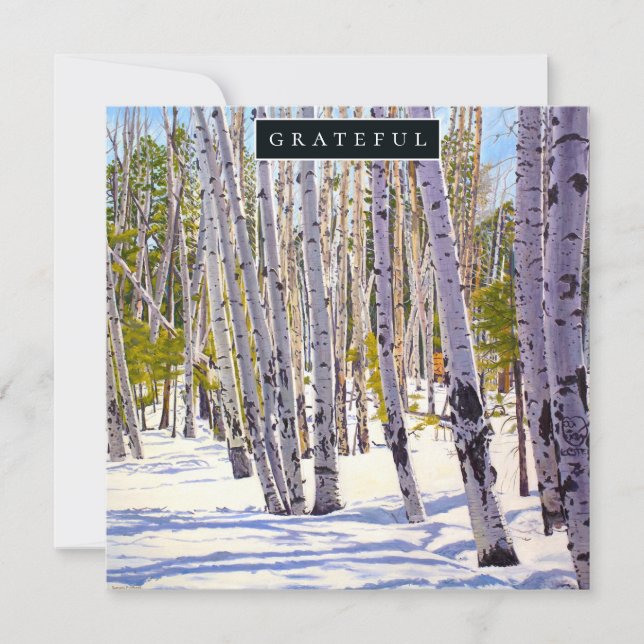 Carte de vacances Forest of Aspen Trees (Devant)